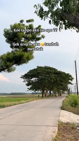 Musikkkk #jowostory #Pride #lokal #fyp 