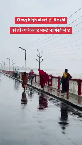 Koshi barrage high alert 🚨 कोशी ब्यारेजबाट मान्छे भागिरहेको छ #koshibarrage #highalert🚨 #koshibridge #koshibarragenews 