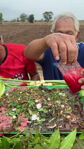 เติมน้ำแดง