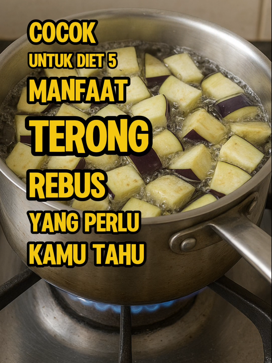 Cocok Untuk Diet 5 Manfaat Terong Rebus Yang Perlu Kamu Tahu. #hidupindah 