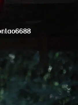 #တၢင်းၵႃႈတႆး #မိူင်းမၢဝ်းလူင် 