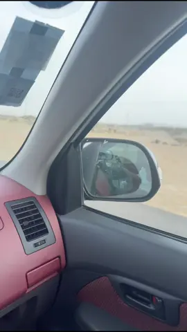العداد ينقص 10#الساحل #سعيدة_الصوالحة #هلي #مالي_خلق_احط_هاشتاقات🧢#explor #capcut #fyp #memecut 