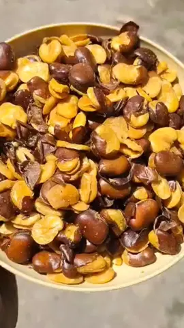kacang koro kulit enak n  mantul#kacangkoro #kacangkorokulit #hargapromo #hargamurahkualitasmewah #murahmeriah 