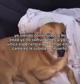 ME MEO #fypシ゚ #parati #FYP #foryou #viral 