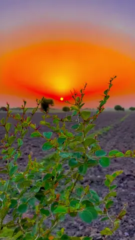 #pindawale #پنڈاں_والے #ساڈا_پنجاب #foryou #Viral #1millionviews 