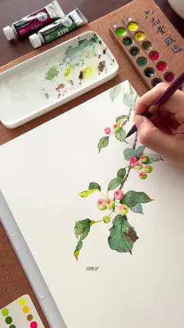 Chấm xanh chấm đỏ... Cre: 欧公子 #motgiaythothan #mauve #vetranh #maunuoc 