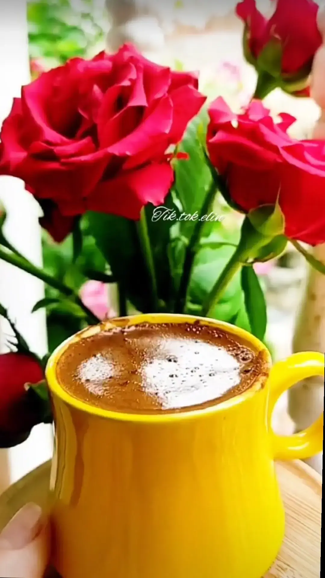 #فيروزات_الصباح #فيروز_و_فنجان_قهوة #صباحكم_أحلى_صباح🌹🌹 #تصويري_احترافي_الاجواء👌🏻🕊😴 #قهوتي_معشوقتي☕❤️☕،،، 