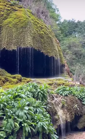 #şuşa #shusha #xankendi #laçın #zabux 