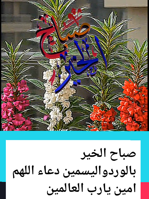 #دعاء#صباح الخير#بالورد والياسمين#اللهم امين يارب العالمين 