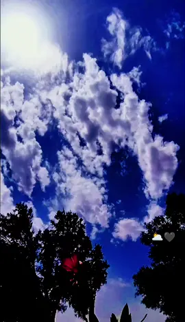 #تصويري_احترافي_الاجواء👌🏻🕊😴صويري_احترافي #تفاعلكم_حتى_أستمر #تصويري_احترافي_الاجواء👌🏻🕊😴صويري_احترافي #تصويري_احترافي_الاجواء👌🏻🕊😴صويري_احترافي 