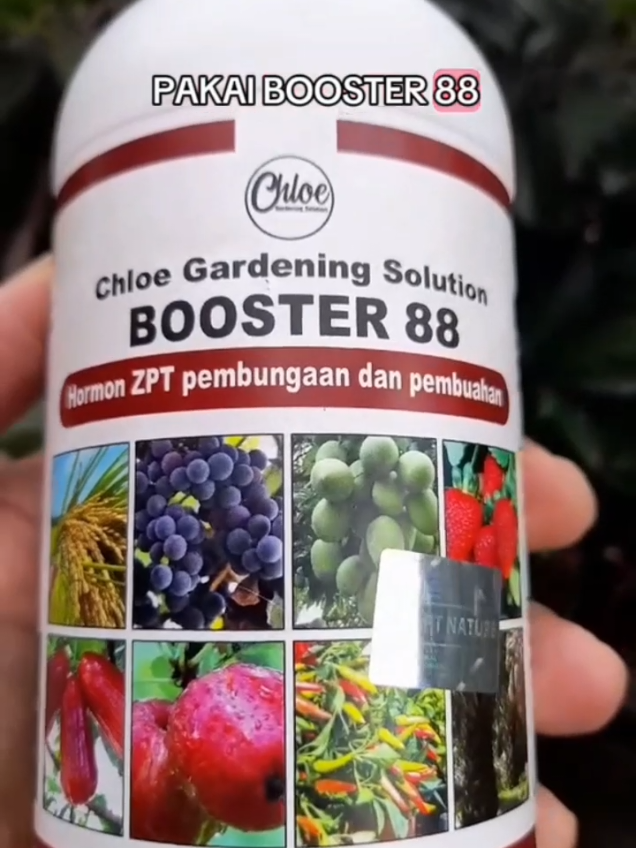 Booster 88 Hormon ZPT Pembungaan dan Pembuahan #booster88  #hormonzpt  #pupukpembuahan  #boosterbuah 
