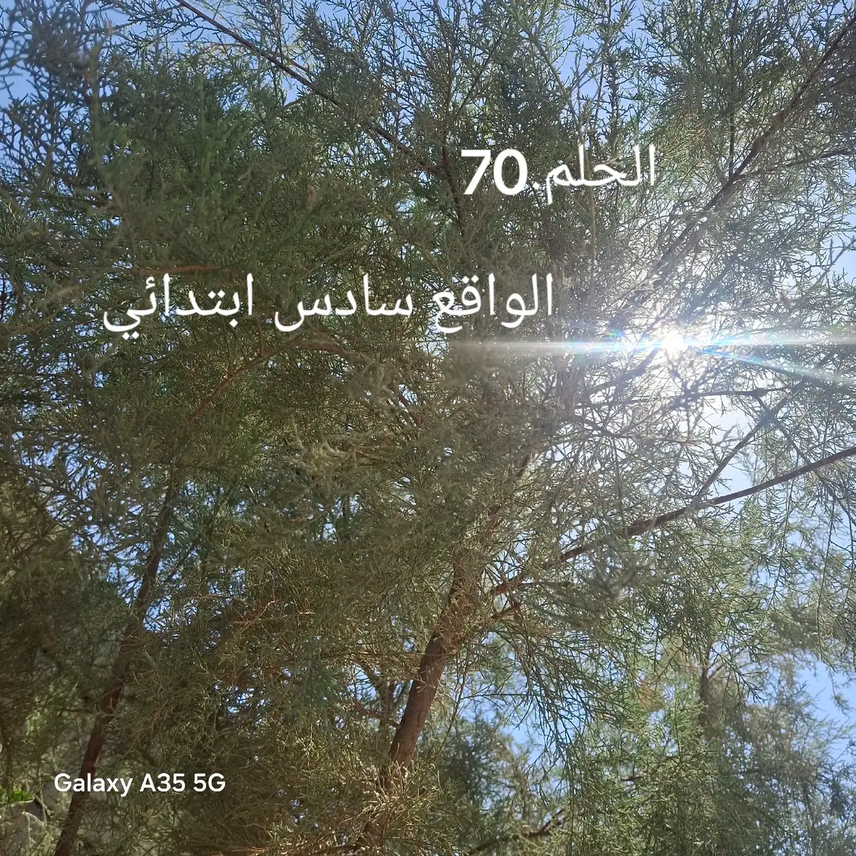 الكليه العسكريه #طششونيي🔫🥺😹💞 
