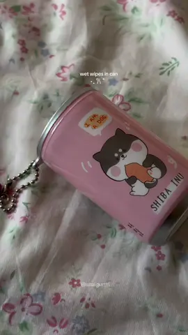 refillable wet wipes in can cutie 💗💫 #wipes #wetwipes #miniwetwipes #anikanik #fyp 