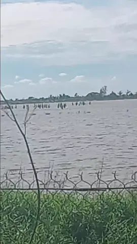 bạo loạn cực căng ae ơi. trại cai nghiện kiên hảo