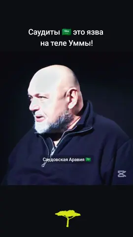 Мадхалиты соответственно тоже наносят интересам Уммы больше вреда,чем пользы! #узурпаторы #святойземли #саудия 