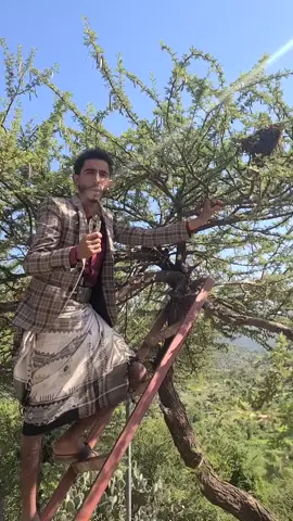 النحل اذا خرجت نصيحه لكل النحالين ههههه شبعتي