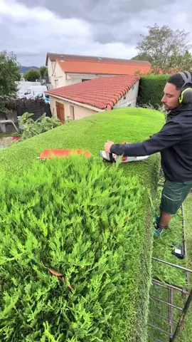 La taille de haie de Harry pour €300 , pensez-vous que c’est un prix juste? #gardening #garden #clean #asmr #fyp 