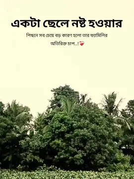 একটা ছেলে নষ্ট হওয়ার পিছনে সব চেয়ে বড় কারণ হলো তার ফ্যামিলির অতিরিক্ত চাপ..!❤️‍🩹 #fyppppppppppppppppppppppp #foryoupage #viralvideo #capcut #viraltiktok 