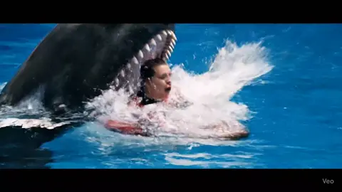 #orcas #unfeezmayaccount #dolfin #jessica 