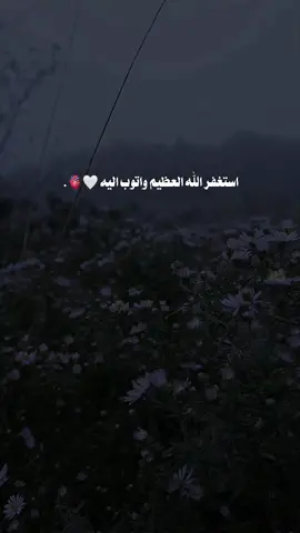 #استغفر_الله_العظيم_واتوب_اليه  #سبحان_الله_وبحمده_سبحان_الله_العظيم #لا_اله_الا_انت_سبحانك_اني_من_الظالمين #اللهم_صل_وسلم_على_نبينا_محمد 