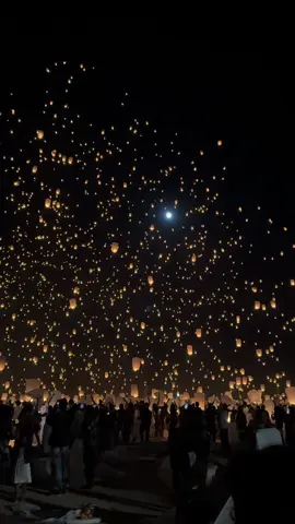 Had to use this song #lanterns #tangled #risefestival #pretty #fyp 