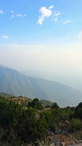 #مشاهدات_تيك_توك #الشعب_الصيني_ماله_حل😂😂 #fyp #اكسبلورexplore #تصويري