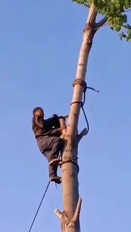 #fyp #foryou #tiktokmalaysia #household#LifeHack#treecutter#handsaw#pruningsaw#telescopic#practical 