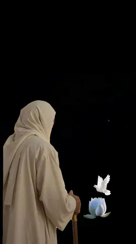 #keşfet #keşfetteyizz #əgeliyikaldirtiktok #keşfetbeniöneçıkart 