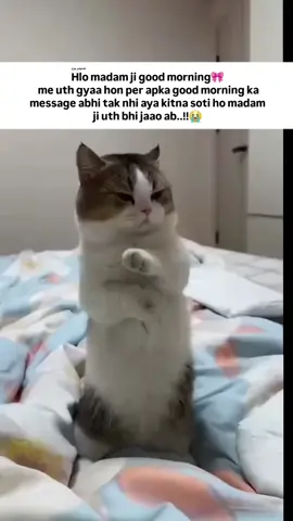 follow me 