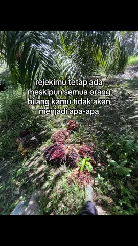 Akan kusapa suatu saat nanti #promoseruweekend #katakatamotivasi #petanisawit #most #bismillahfypシ 