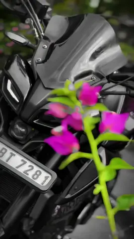 MT_15_Lover_🏍️🫣part325