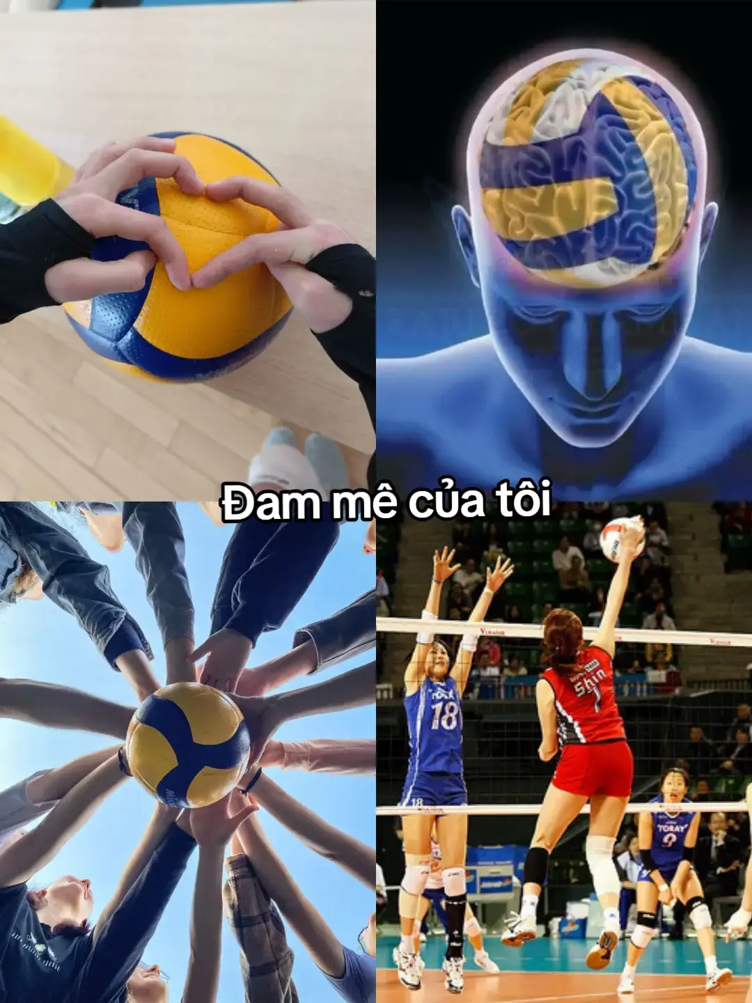 #bongchuyen #volleyball #mebongchuyen #xh #fyp 