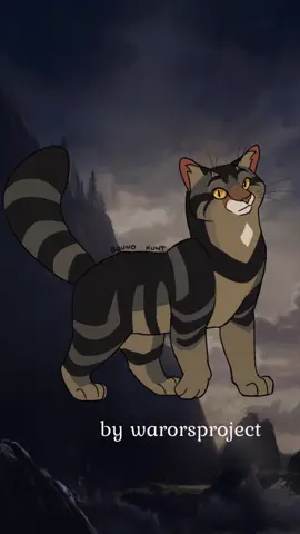 Some fantastic art for a fantastic wildcat tom! 🐈🐈‍⬛ #warriorcats #warriors #books #BookTok #bookstagram #cats #erinhunterbooks #warriorcatsmerch