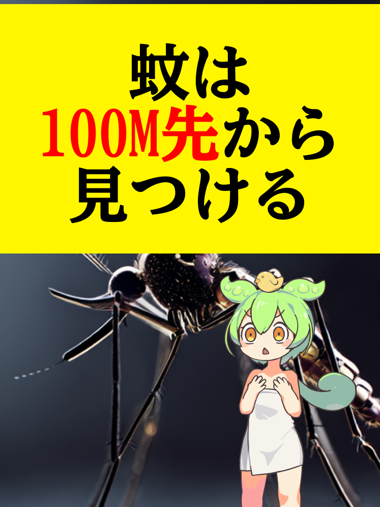 蚊は人間をどうやって見つけてるのか？ 実は息に含まれる二酸化炭素で40m以上先から感知しているのだ！ #雑学 #豆知識 #蚊 #夏の豆知識 #ライフハック 動画生成: NoLang (no-lang.com) VOICEVOX: 春日部つむぎ  VOICEVOX: ずんだもん  Otologic (https://otologic.jp) CC BY 4.0
