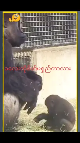 #ကလေးကမသိလို့မေးတာကို#ရောက်စမ်းfypပေါ်😒myanmartiktok #100k #ကြည်ပြီးရင်လဲlikeပေးအုံလေ #f 