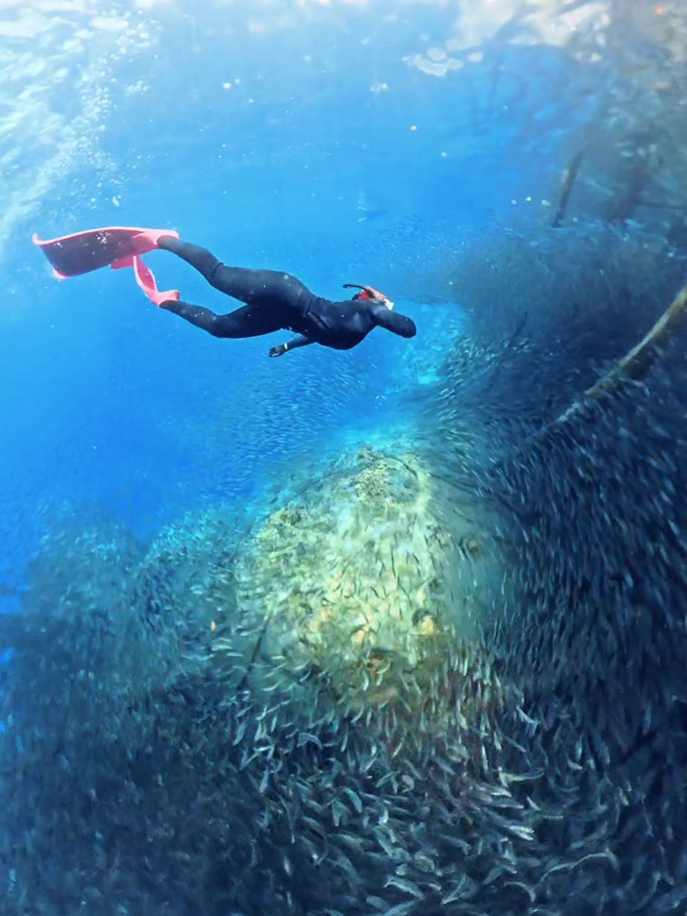 Nyari Buaya Di Lubang Buaya 📍Morella #morela #lubangbuayamorela #ambonpride🏝🔥 #freedive #ambon 
