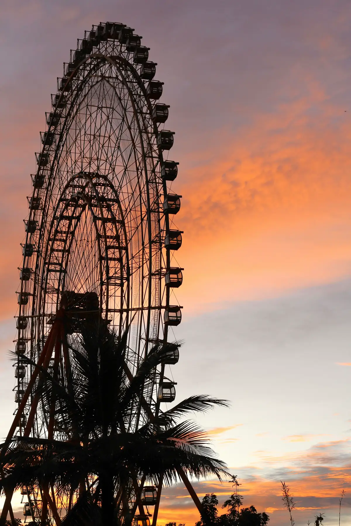 Lang thang Phú Quốc #xuhuongtiktok #viral #vinwondersphuquoc #safari #xuhuongtiktok2025 