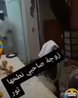 يشتري تور 🤣🤣