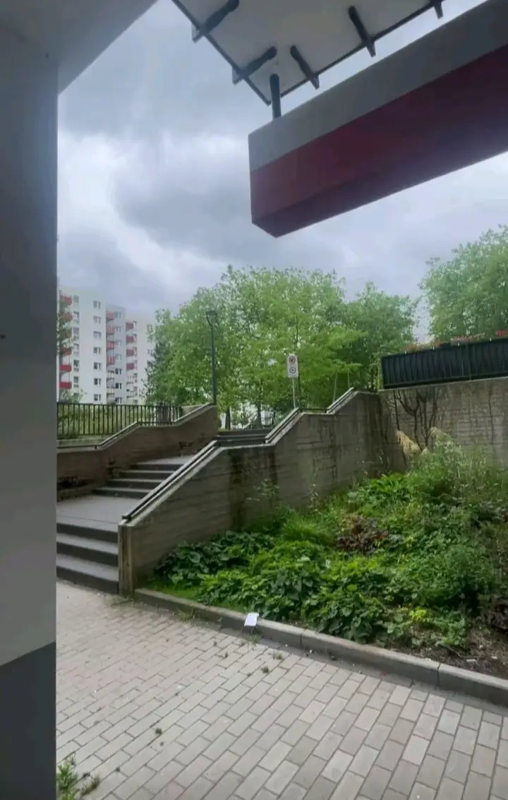 #viral #like #fürdich #viral_video #hamburg 
