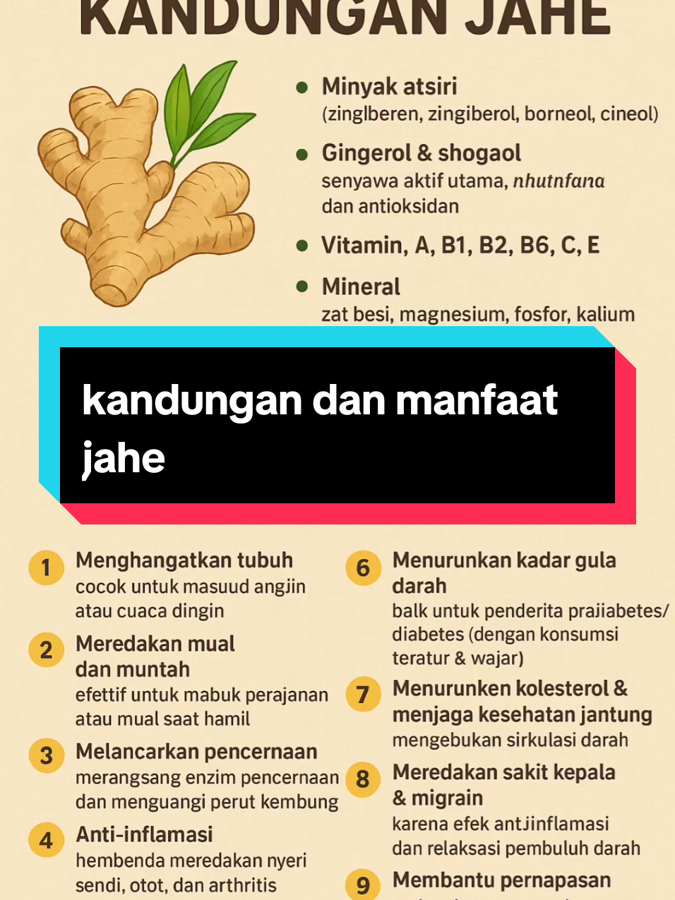Jahe (Zingiber officinale) adalah salah satu rempah yang sudah lama digunakan sebagai bumbu dapur sekaligus obat tradisional. Berikut kandungan dan manfaat jahe: --- 🌿 Kandungan Jahe Minyak atsiri (zingiberen, zingiberol, borneol, cineol) → memberi aroma khas. Gingerol & shogaol → senyawa aktif utama, bersifat antiinflamasi dan antioksidan. Vitamin: A, B1, B2, B6, C, E. Mineral: zat besi, kalsium, magnesium, fosfor, kalium, seng. Serat makanan → baik untuk pencernaan. Asam amino esensial dalam jumlah kecil. --- 🌟 Manfaat Jahe 1. Menghangatkan tubuh → cocok untuk masuk angin atau cuaca dingin. 2. Meredakan mual dan muntah → efektif untuk mabuk perjalanan atau mual saat hamil (morning sickness). 3. Melancarkan pencernaan → merangsang enzim pencernaan dan mengurangi perut kembung. 4. Anti-inflamasi → membantu meredakan nyeri sendi, otot, dan arthritis. 5. Meningkatkan daya tahan tubuh → kandungan antioksidan melawan radikal bebas. 6. Menurunkan kadar gula darah → baik untuk penderita pradiabetes/diabetes (dengan konsumsi teratur & wajar). 7. Menurunkan kolesterol & menjaga kesehatan jantung → meningkatkan sirkulasi darah. 8. Meredakan sakit kepala & migrain → karena efek antiinflamasi dan relaksasi pembuluh darah. 9. Membantu pernapasan → melegakan tenggorokan, mengurangi batuk, dan meluruhkan dahak. 10. Membantu menurunkan berat badan → mempercepat metabolisme dan pembakaran kalori.