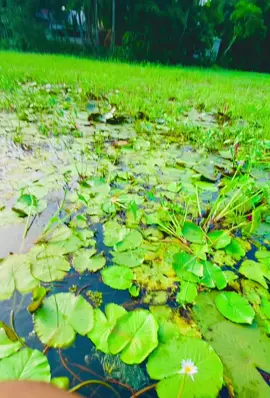 🥹🫶🏻#viral #foryou #fyppppppppppppppppppppppp #tiktokviral #tiktok 