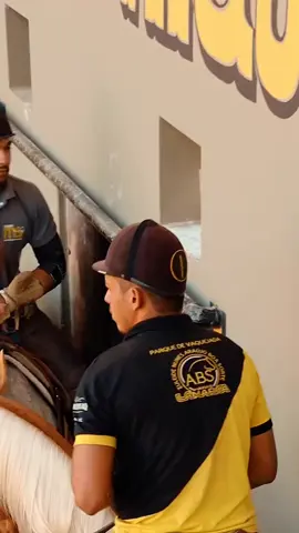 Cleiton Gonçalves  @Biu do Piseiro #musica #desmantelo #vaqueijada #vaqueirama #viraltiktok 