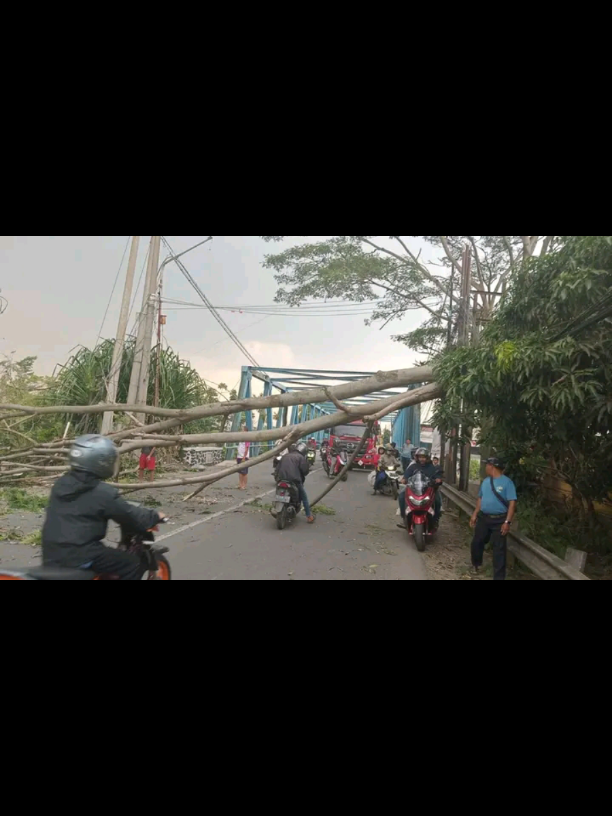 angin kencang di wilayah bojong soang , bebrapa pohon tumbang, kerusakan lainnya masih dalam tahap assessment. #anginkencang  #bojongsoang  #pohontumbang  #anginputingbeliung 