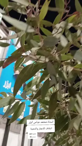 #محمد_شياع_السوداني #مفتاح_التغير #الاعمار_والتنمية_الموصل #مكتب_اعلام_الاستاد_محمد_ابزر #العراق 