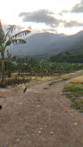 comingsoon sprint t3mb4k😍 #merpati #merpatisprint #merpatibalapindonesia #silentsinglefighter #ppmbsi 