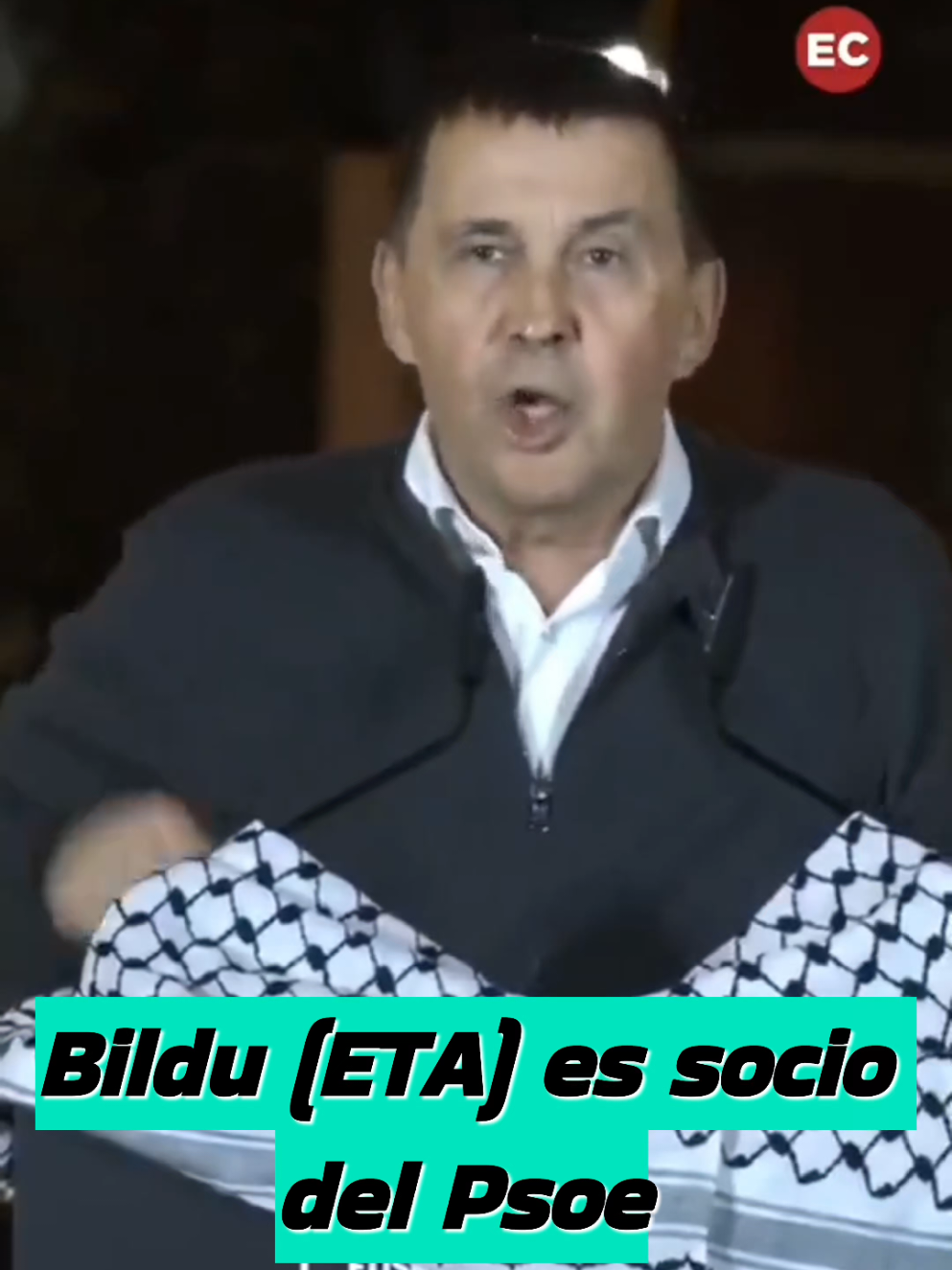 Bildu (ETA) es socio del Psoe #leon #españa #reflexiones #news #mividajubilado 