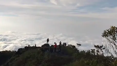 mt Lemongan lagi ceria🤩 #pendkiindonesia  #gununglemongan1676mdpl  #xybca  #foryoupage 