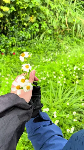 น่ารักที่สุดด 💐🤍 #ดอกไม้ริมทาง #ธรรมชาติ #กาญจนบุรี