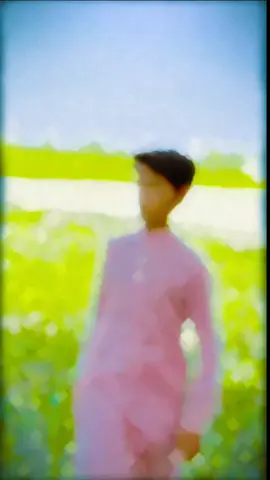 #سنگت_ویڈیو_وائرل_کریسو_آپ_ہیں🥀🌼🙈✨ #سنگت_ویڈیو_وائرل_کریسو_آپ_ہیں🥀🌼🙈✨ 