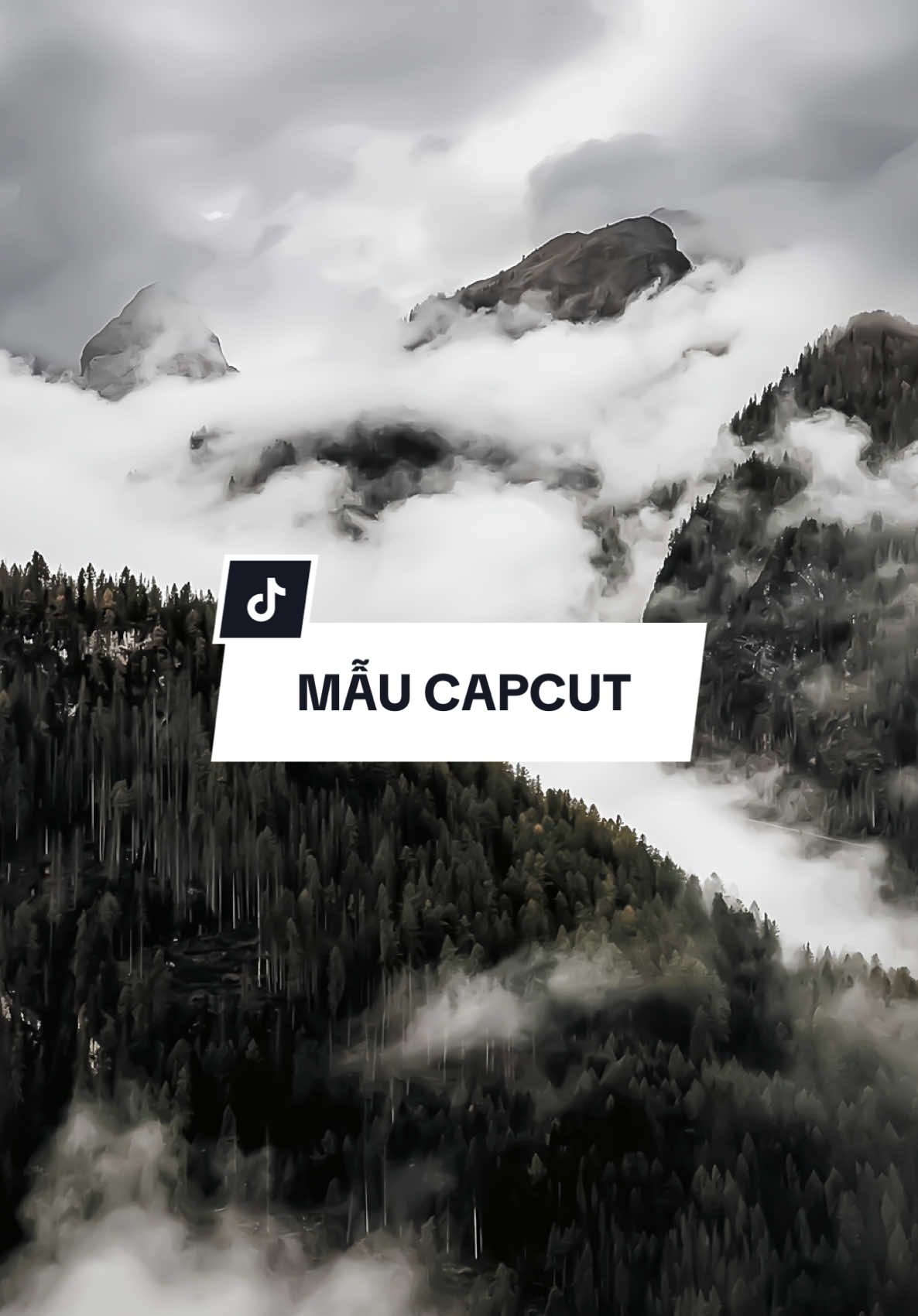 #CapCut tình yêu đó anh chỉ trao riêng người thôi #capcutpioneer #pioneertemplate #nhacchaymoingay #remix 